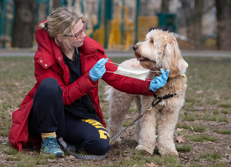 Provide a safe environment for pets