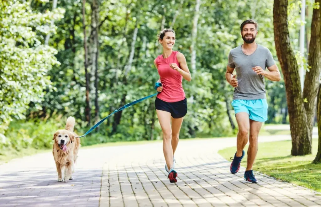 Pets get enough exercise