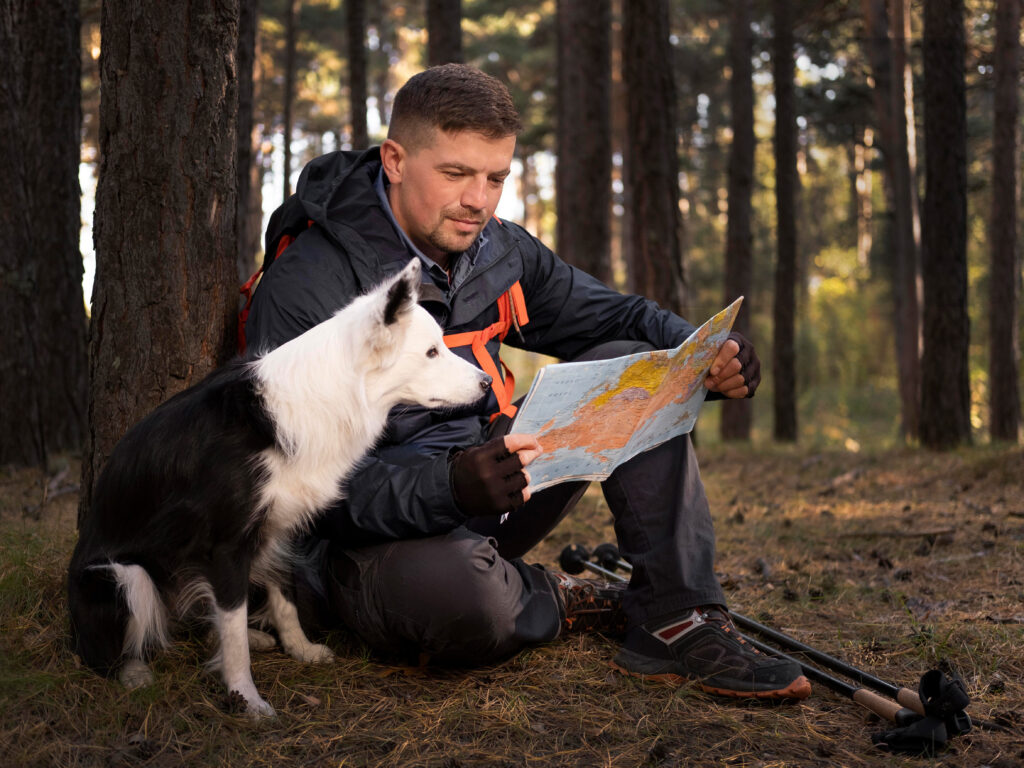 Dog hiking with man