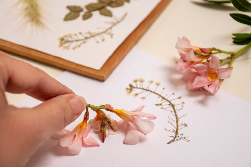 pressed flower art